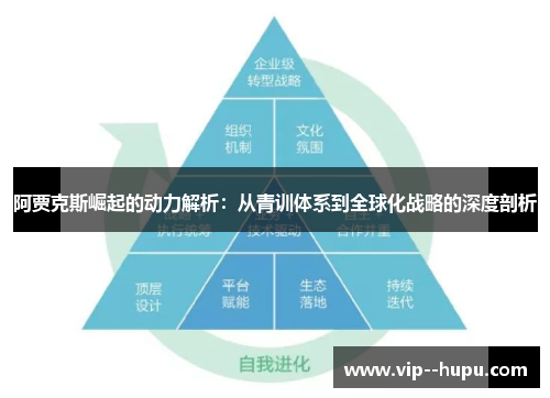 阿贾克斯崛起的动力解析：从青训体系到全球化战略的深度剖析