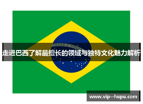 走进巴西了解最擅长的领域与独特文化魅力解析