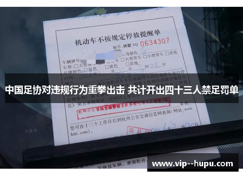 中国足协对违规行为重拳出击 共计开出四十三人禁足罚单